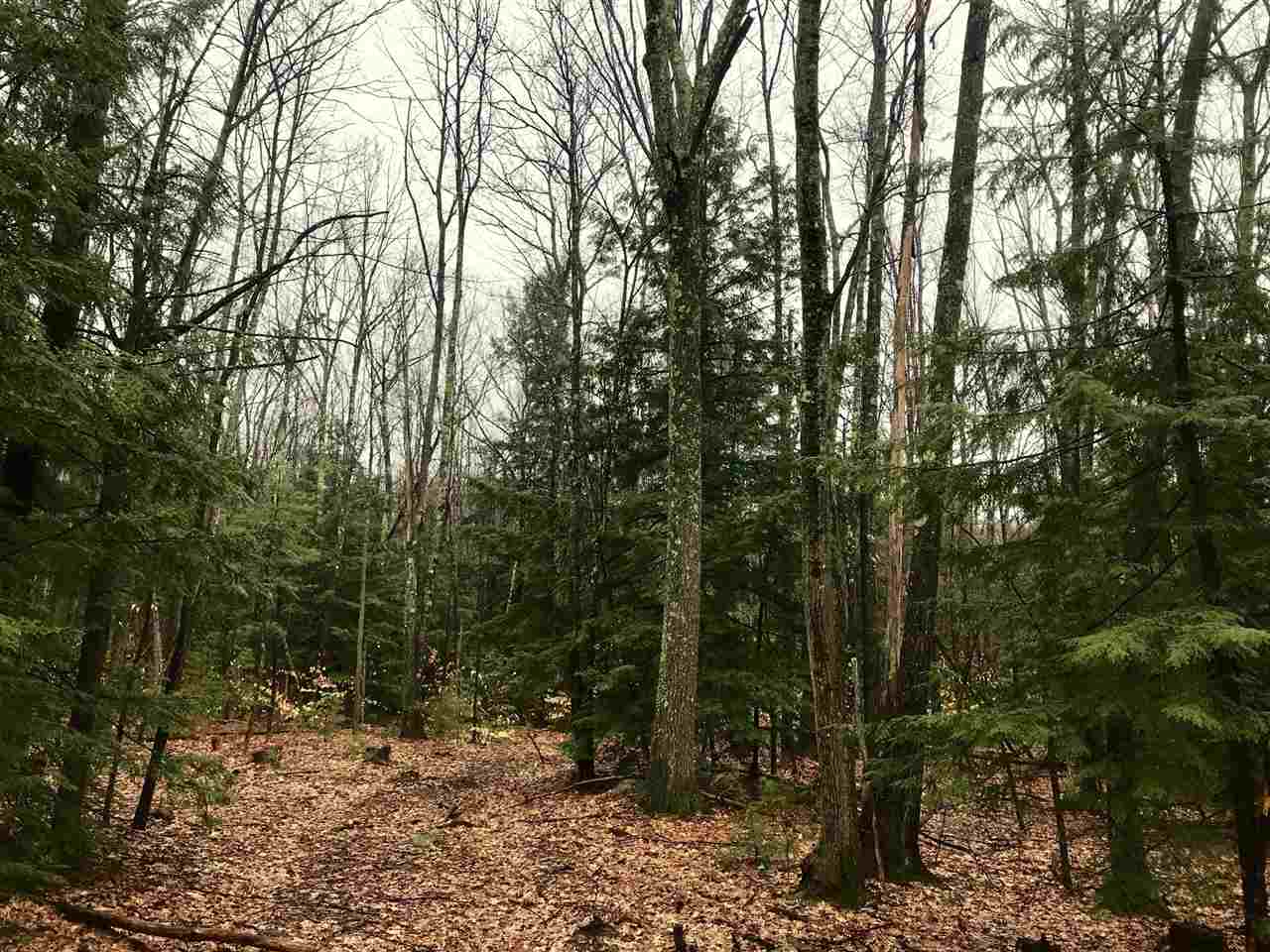 0 Old County Road North, Unit LOT 18 Deering, NH 03244 - Photo 9 of 9 Gallery Image 9