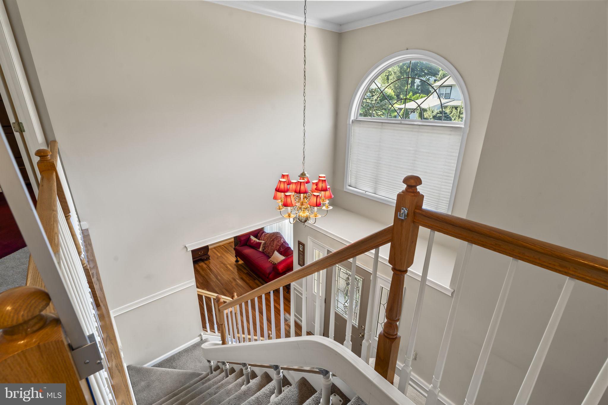505 Ridgerun Lane Philadelphia, PA 19111 - Photo 28 of 57 Gallery Image 28