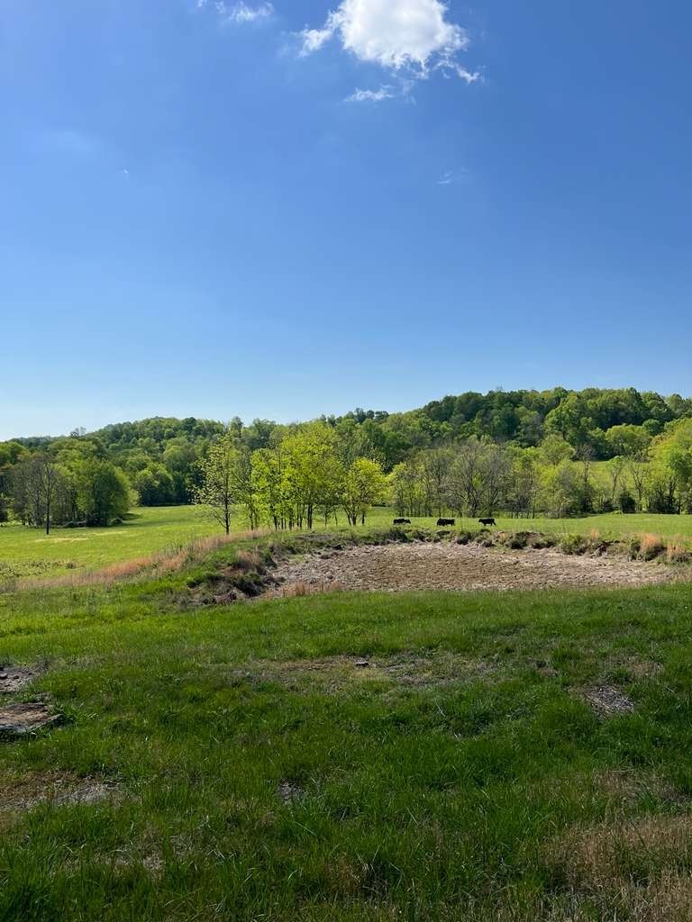 290 Gladdice Road Pleasant Shade, TN 37145 - Photo 40 of 41