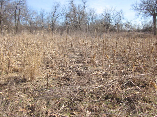 Tbd South 60th Road Bolivar, MO 65613 - Photo 1 of 1 IMG_3440