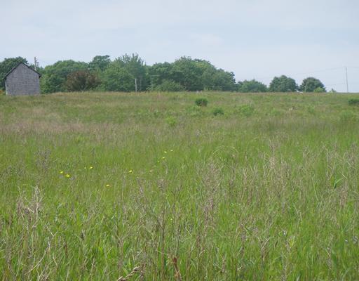 Lot 20 Jenks/john Small Road Chebeague Island, ME 04017 - Photo 4 of 7 Land.