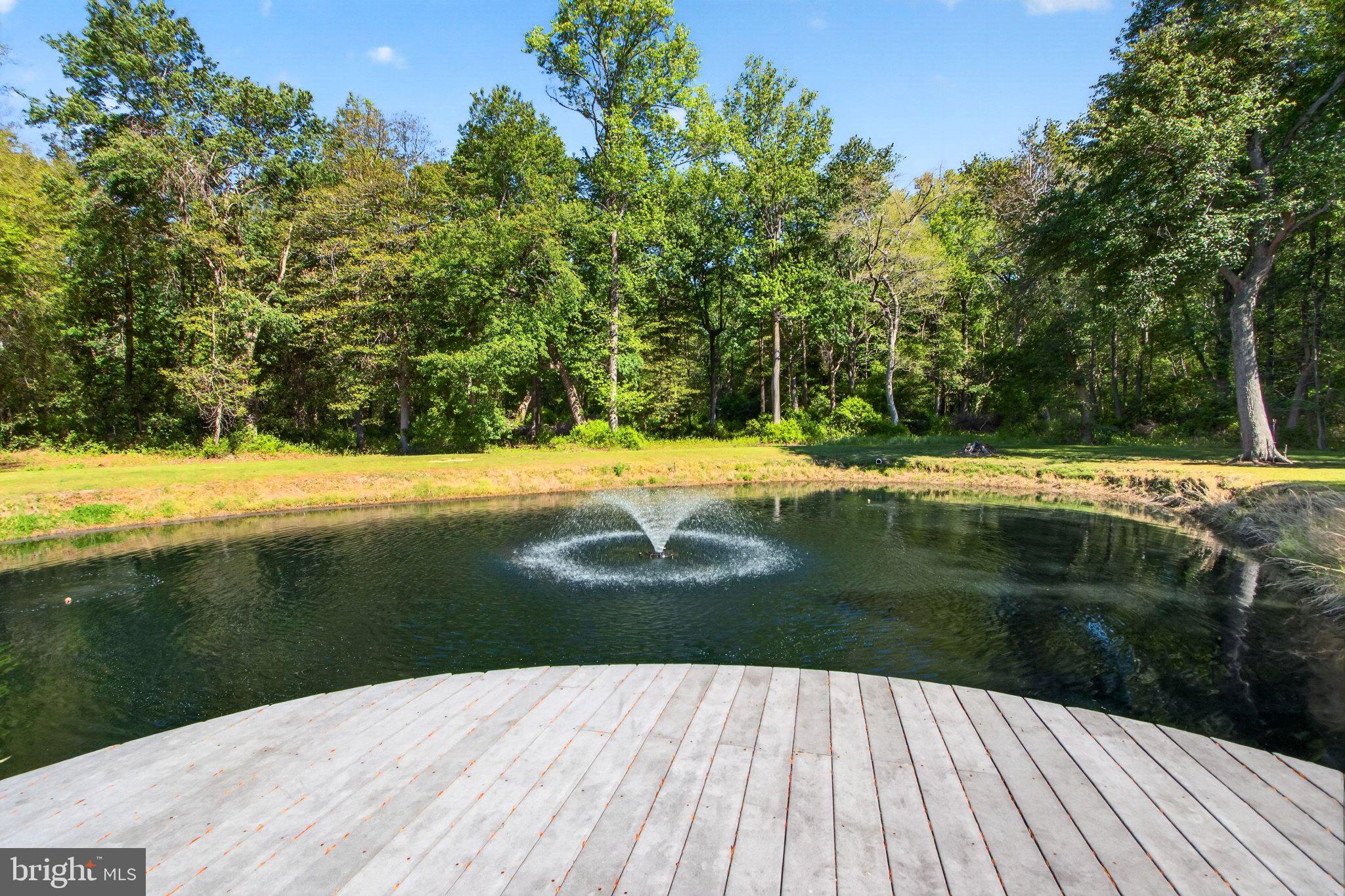 10878 Memory Road Harrington, DE 19952 - Photo 66 of 94 Tranquil pond with a gentle fountain.
