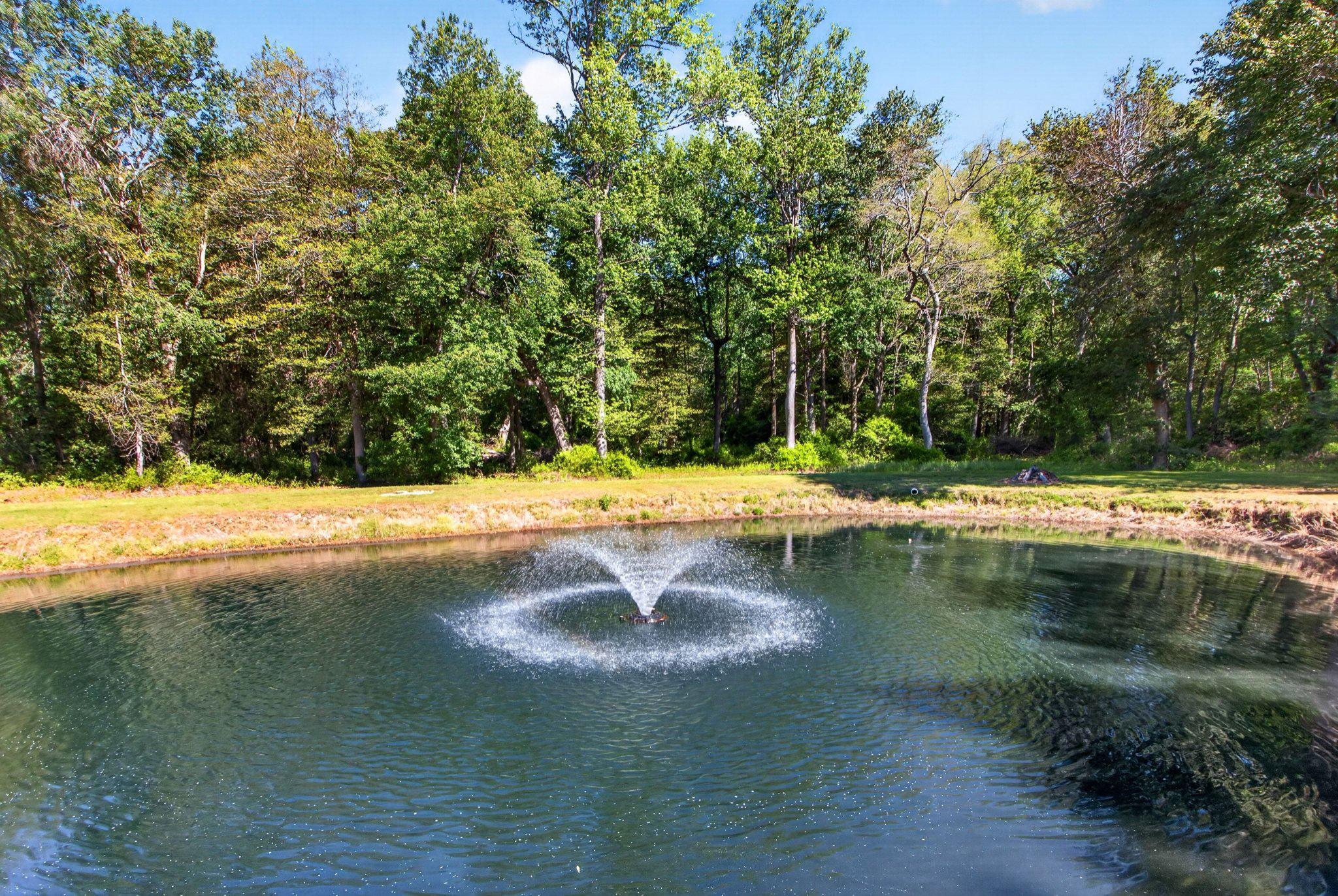 10878 Memory Road Harrington, DE 19952 - Photo 87 of 94 Tranquil pond with a gentle fountain.