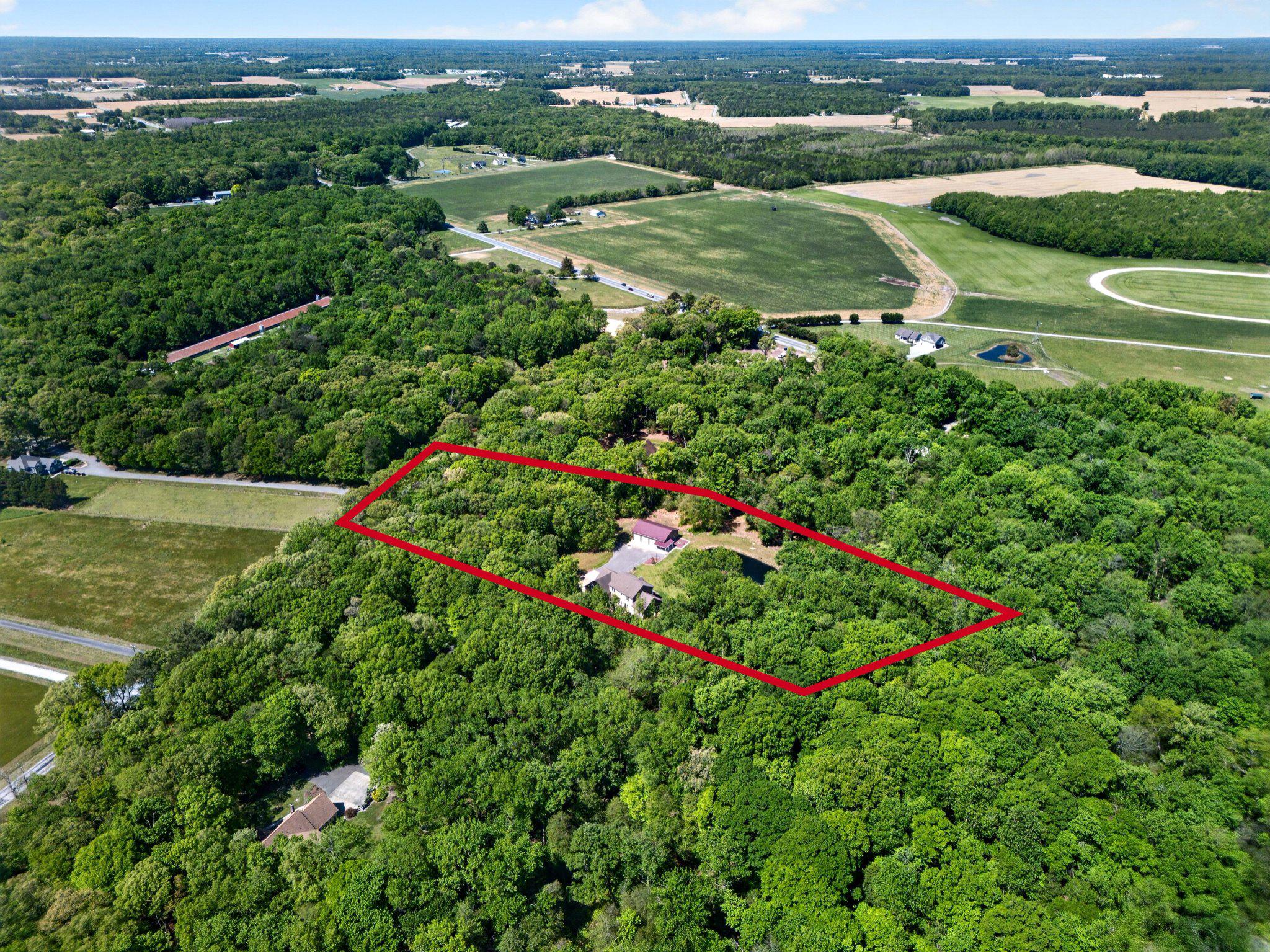 10878 Memory Road Harrington, DE 19952 - Photo 9 of 94 an aerial view of huge green field with lots of green plants in the back