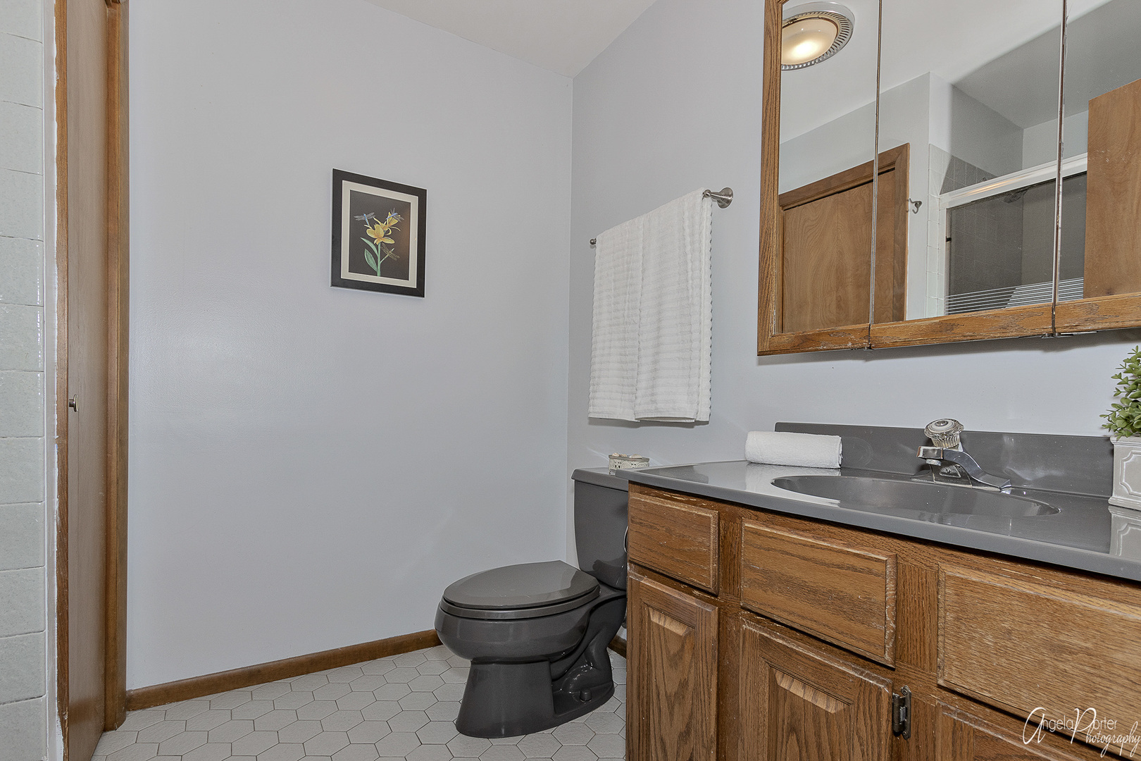 520 Bald Knob Road Johnsburg, IL 60051 - Photo 29 of 53 a bathroom with a toilet sink and mirror