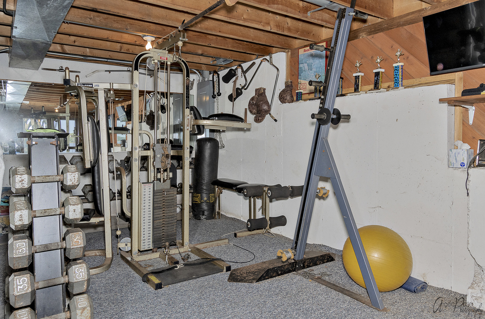 520 Bald Knob Road Johnsburg, IL 60051 - Photo 36 of 53 a view of a room with gym equipment
