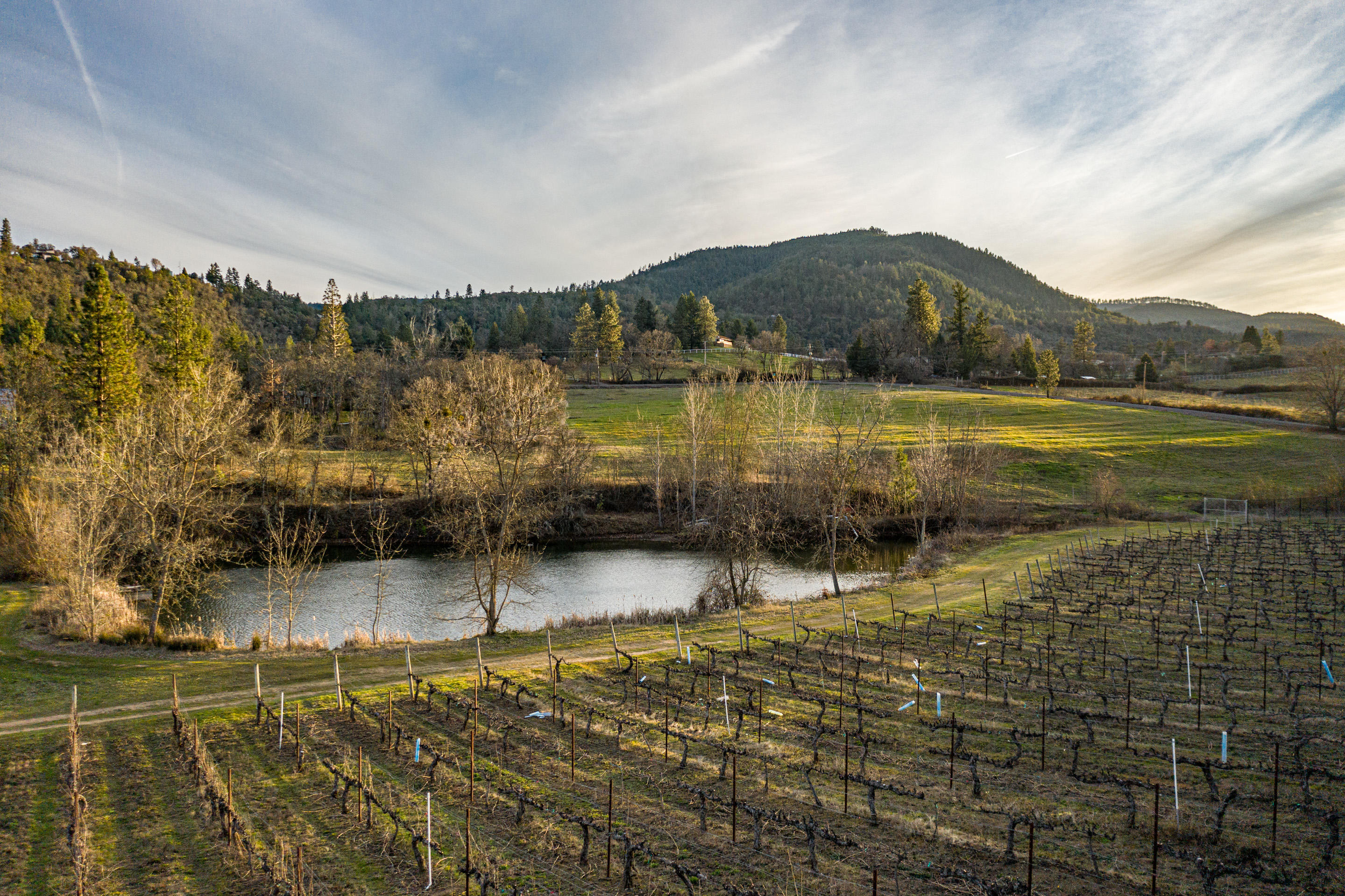 3578 Pioneer Road Medford, OR 97501 - Photo 7 of 46 ab