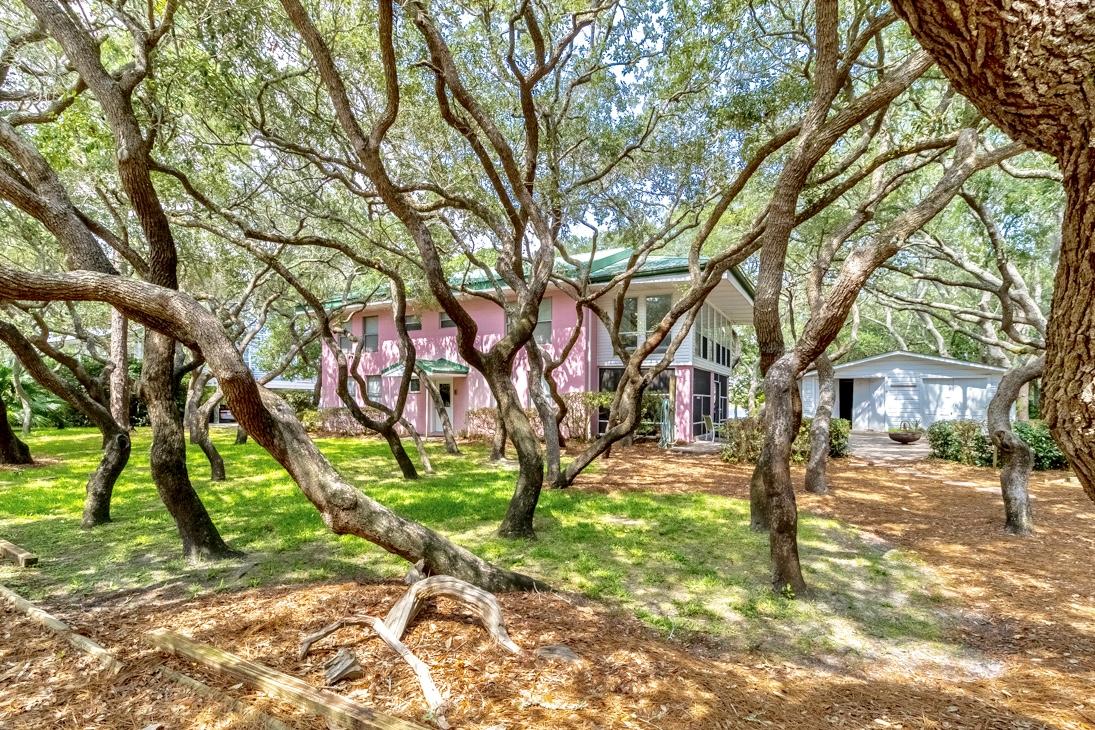 79 Garfield Street Santa Rosa Beach, FL 32459 - Photo 2 of 49 a tree in the middle of a yard
