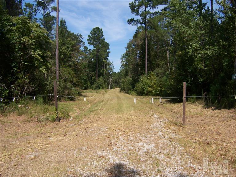 10 Scott Road Rocky Point, NC 28457 - Photo 3 of 10 Additional Photo