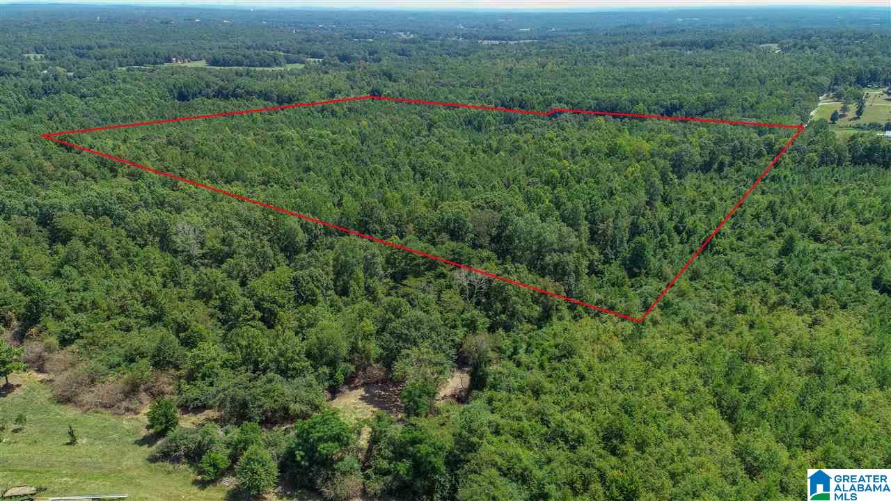 3582 County Road 69, Unit 1 Clanton, AL 35045 - Photo 4 of 8