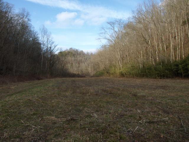 1100 McCormick Ridge Road Whitleyville, TN 38588 - Photo 11 of 20