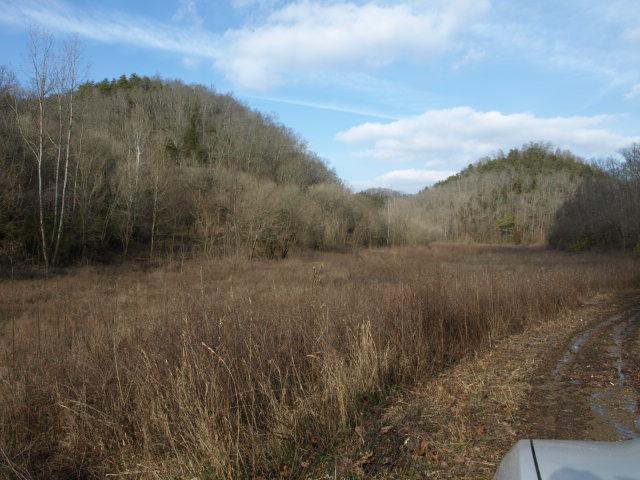 1100 McCormick Ridge Road Whitleyville, TN 38588 - Photo 12 of 20