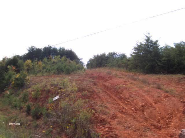 1100 McCormick Ridge Road Whitleyville, TN 38588 - Photo 13 of 20