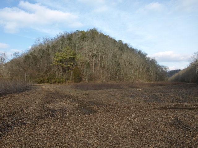1100 McCormick Ridge Road Whitleyville, TN 38588 - Photo 14 of 20