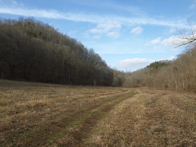 1100 McCormick Ridge Road Whitleyville, TN 38588 - Photo 15 of 20