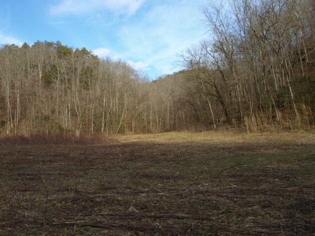 1100 McCormick Ridge Road Whitleyville, TN 38588 - Photo 16 of 20