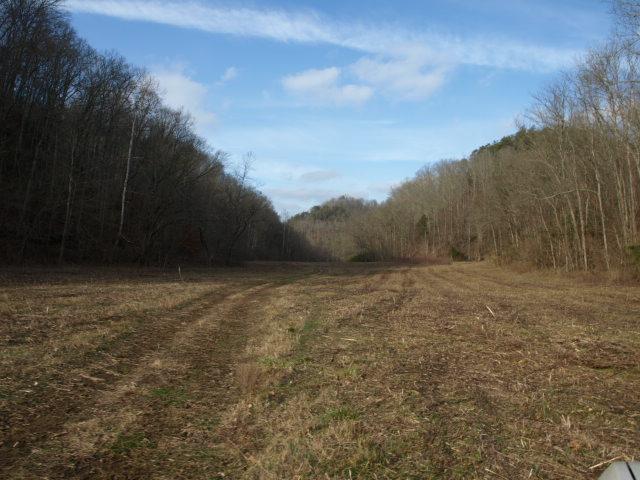 1100 McCormick Ridge Road Whitleyville, TN 38588 - Photo 17 of 20