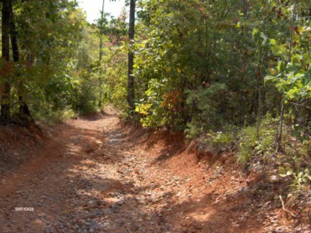 1100 McCormick Ridge Road Whitleyville, TN 38588 - Photo 18 of 20