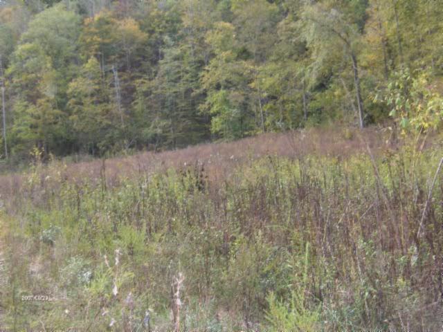 1100 McCormick Ridge Road Whitleyville, TN 38588 - Photo 19 of 20