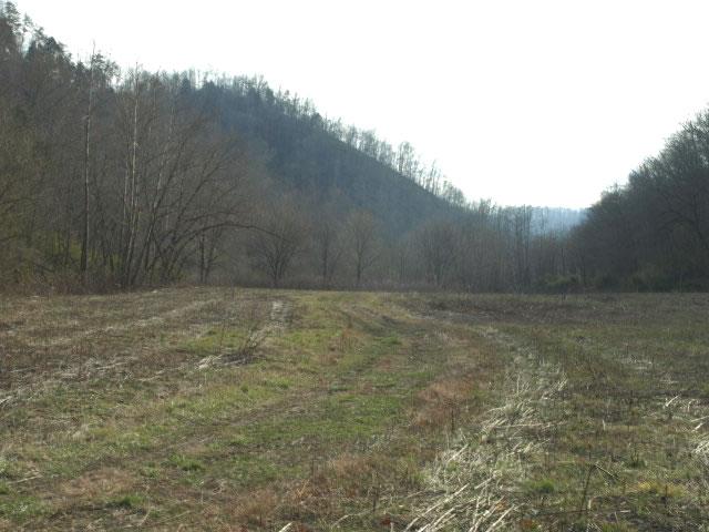 1100 McCormick Ridge Road Whitleyville, TN 38588 - Photo 2 of 20