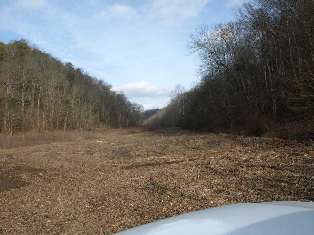1100 McCormick Ridge Road Whitleyville, TN 38588 - Photo 3 of 20