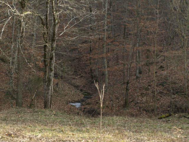 1100 McCormick Ridge Road Whitleyville, TN 38588 - Photo 5 of 20