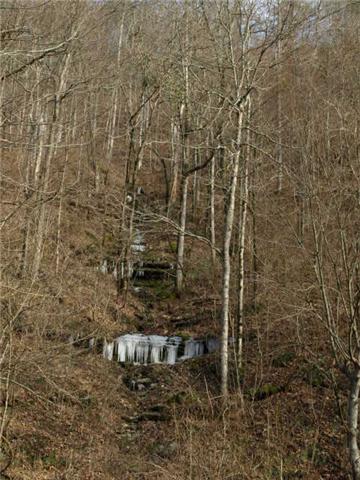 1100 McCormick Ridge Road Whitleyville, TN 38588 - Photo 6 of 20