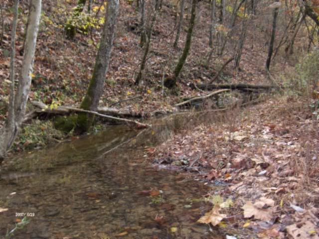 1100 McCormick Ridge Road Whitleyville, TN 38588 - Photo 9 of 20