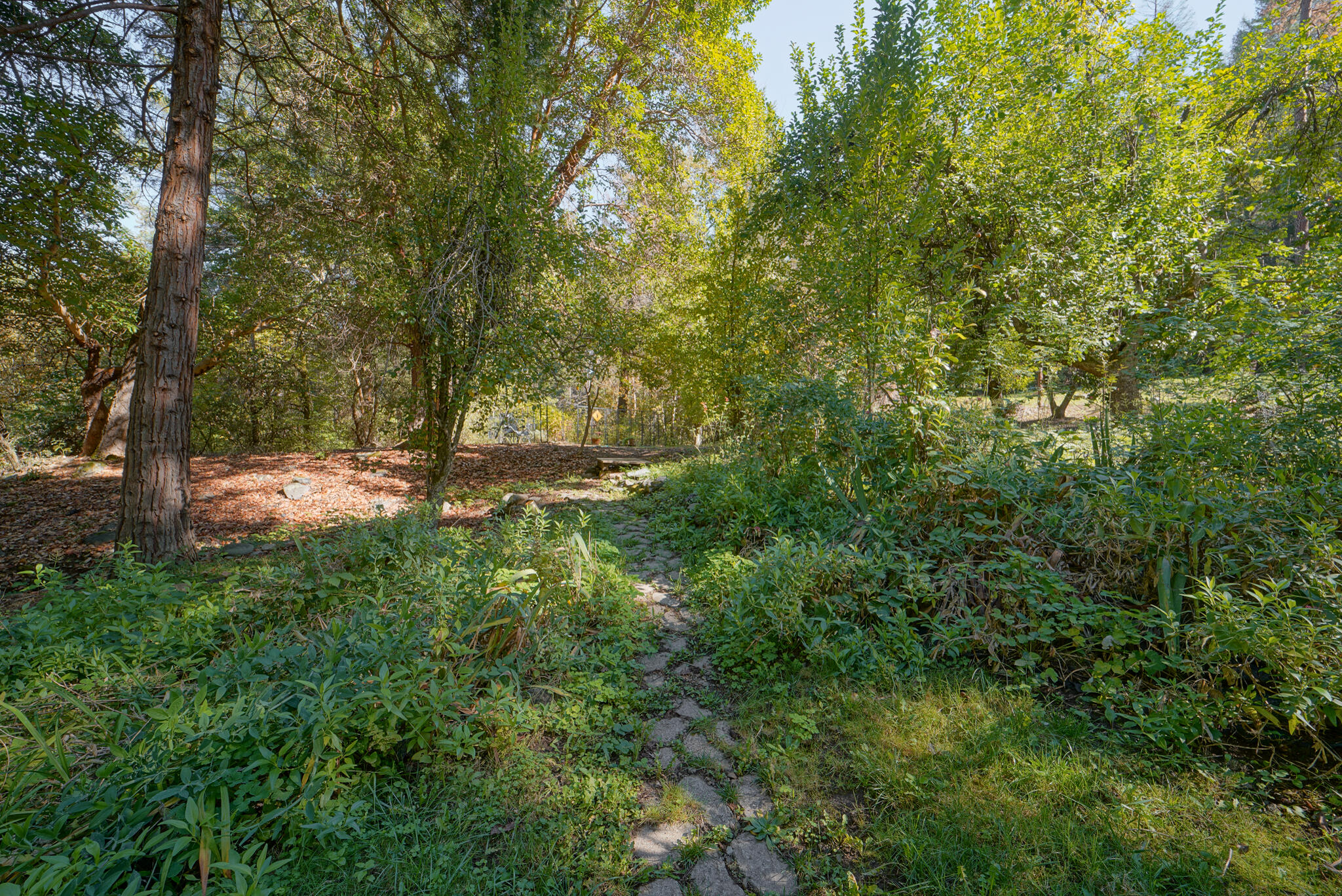 420 Price Creek Road Big Bar, CA 96010 - Photo 15 of 63 a view of outdoor space and yard
