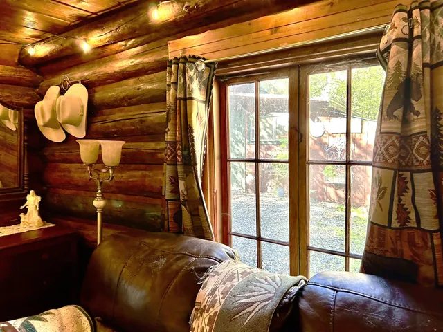 a view of a forest with trees