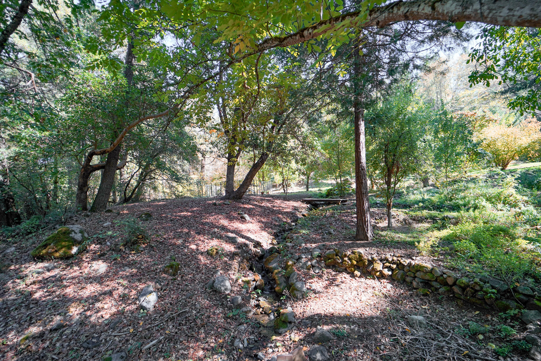 420 Price Creek Road Big Bar, CA 96010 - Photo 51 of 63 a view of a forest with trees