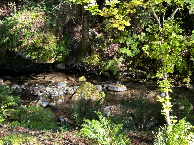 $425,000 | 420 Price Creek Road, Big Bar, CA 96010