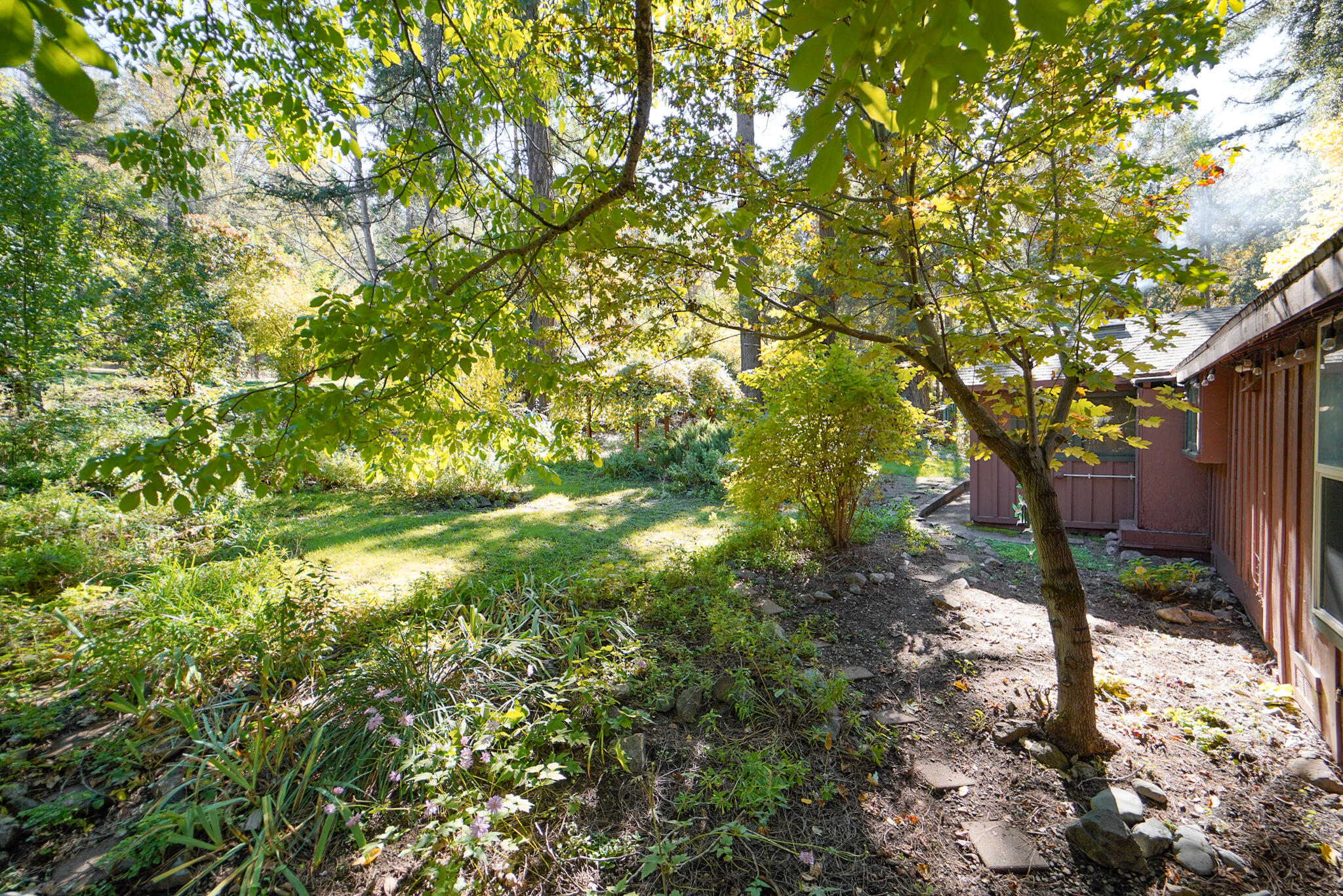 420 Price Creek Road Big Bar, CA 96010 - Photo 54 of 63 a backyard of a house with lots of trees