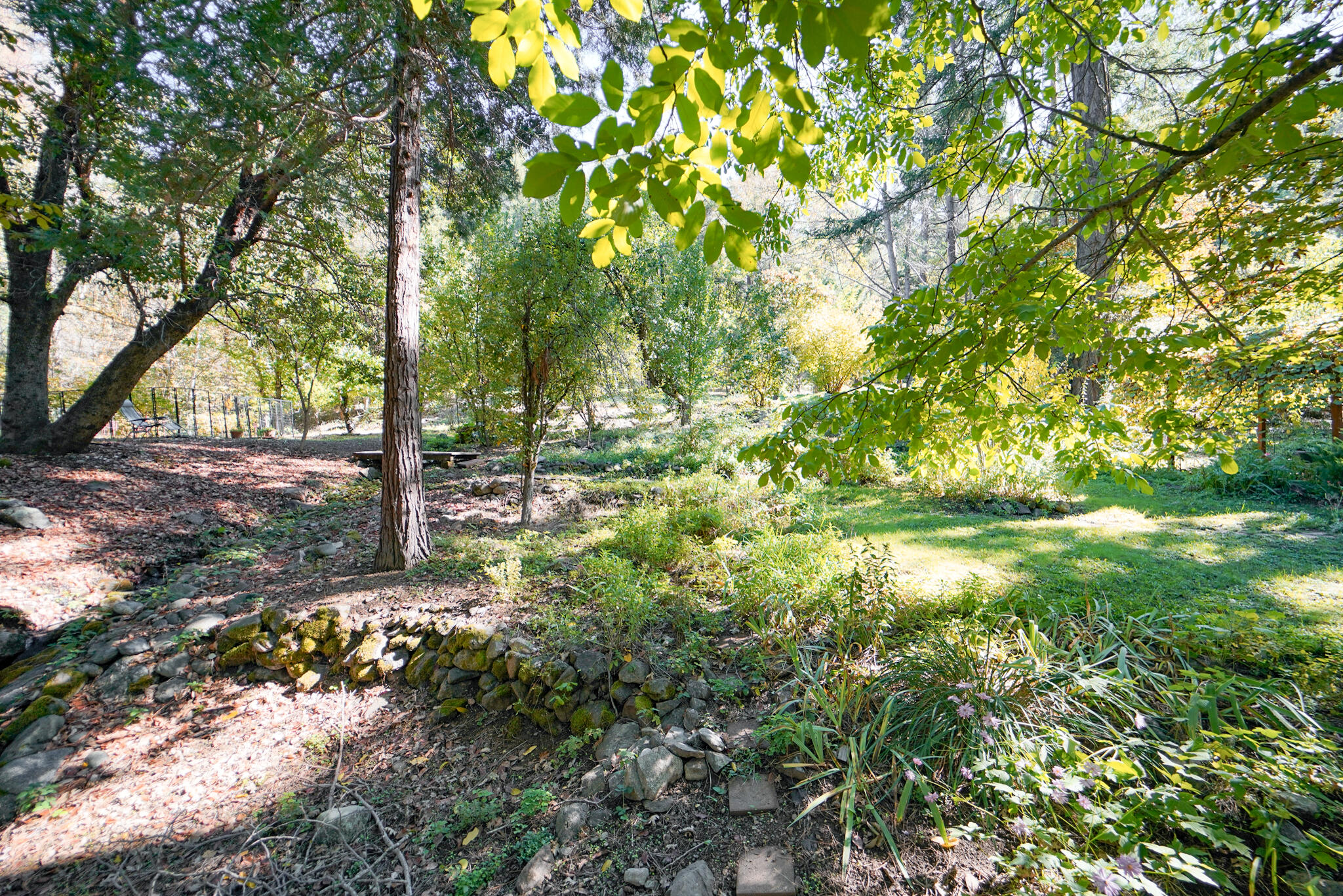 420 Price Creek Road Big Bar, CA 96010 - Photo 56 of 63 a backyard of a house with lots of green space
