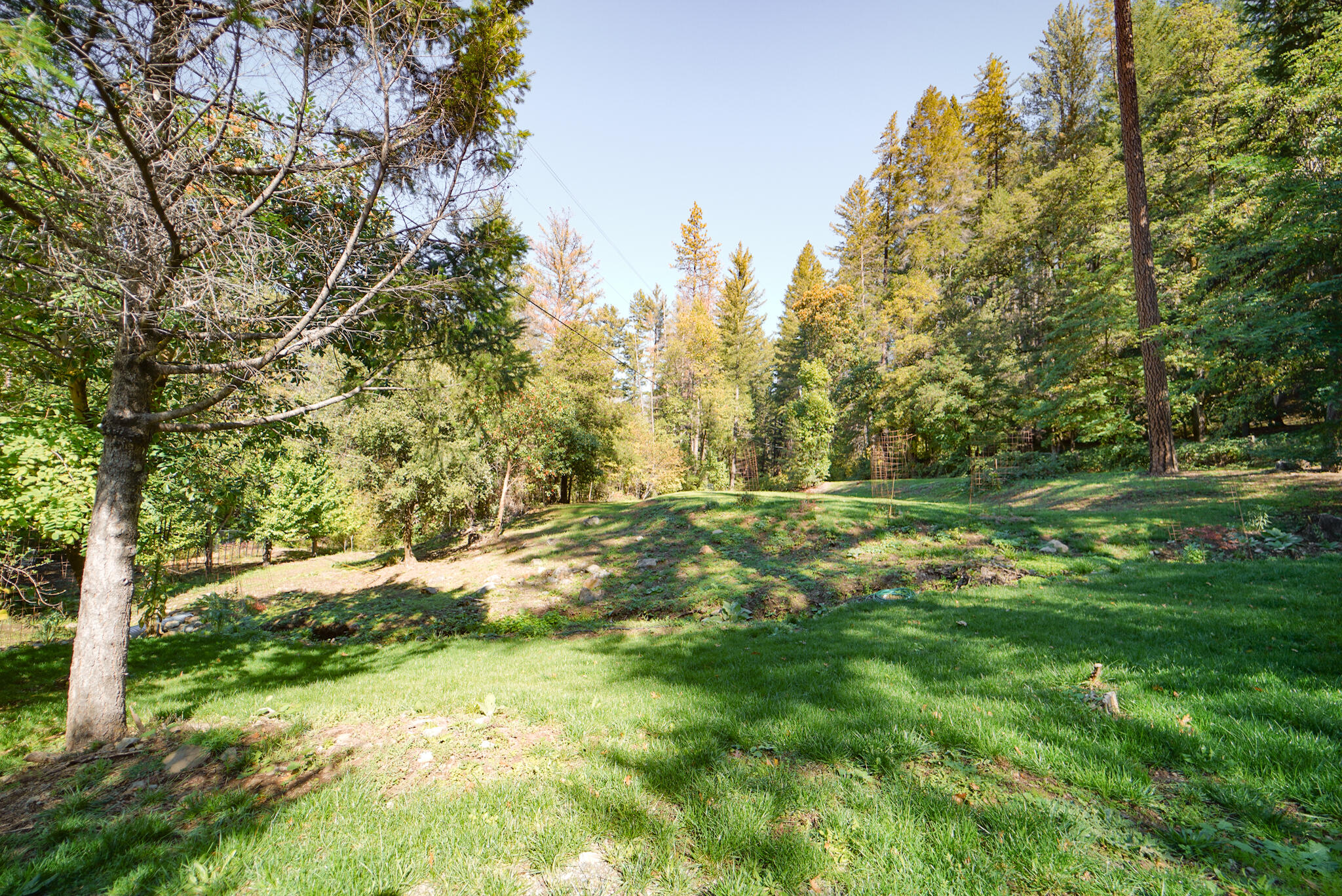 420 Price Creek Road Big Bar, CA 96010 - Photo 59 of 63 a view of outdoor space with trees all around