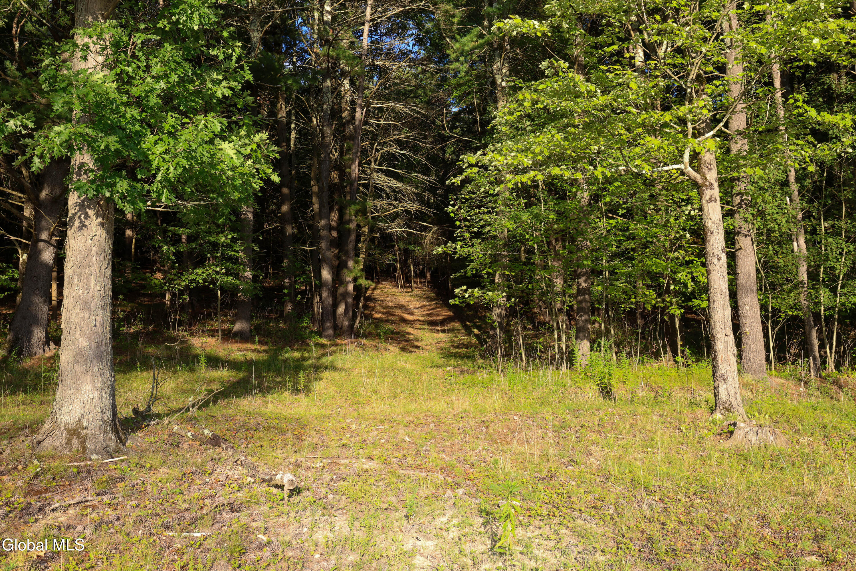 166 Stanton Road Coeymans, NY 12046 - Photo 48 of 67 JWStanton-64