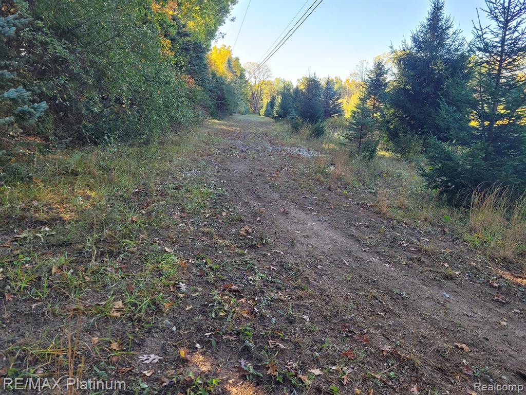 Parc B Tipsico Lake Road Hartland, MI 48353 - Photo 22 of 22