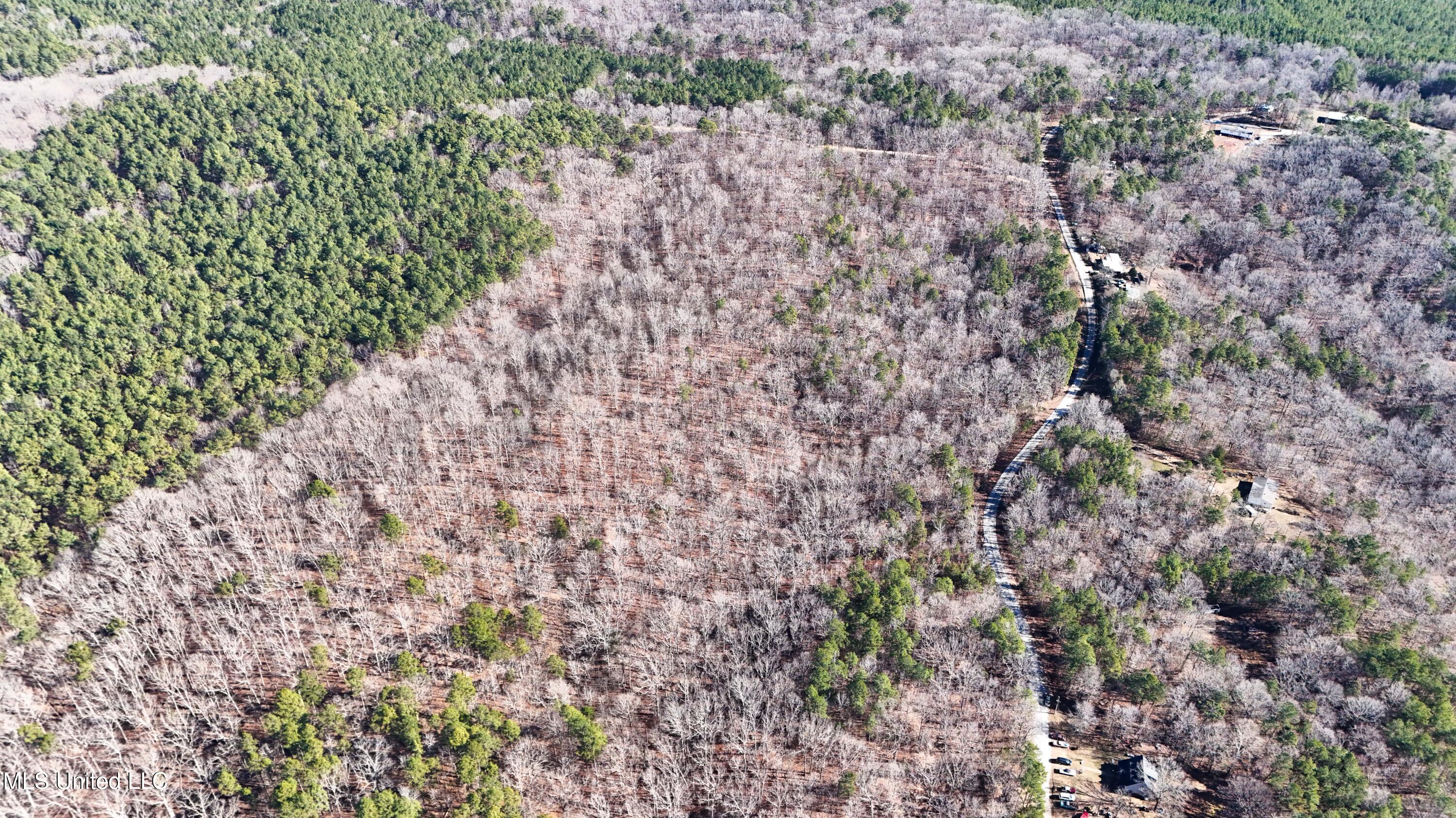 0 Tall Pines Road Ashland, MS 38603 - Photo 8 of 14 Ashland_-9