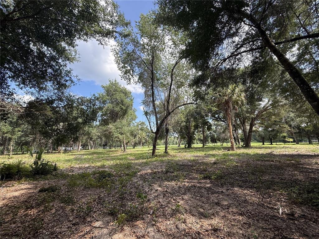 620 Cochran Road Geneva, FL 32732 - Photo 6 of 11