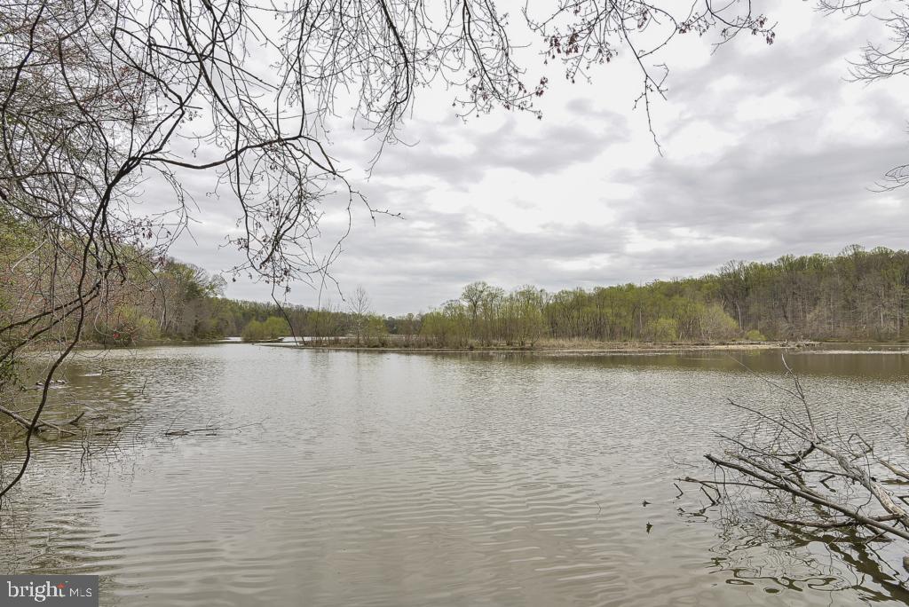 5620 Inverchapel Road Springfield, VA 22151 - Photo 39 of 41 Backs to Lake Accotink! Very rare lot!