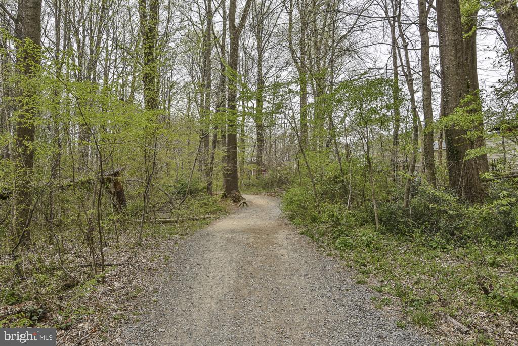 5620 Inverchapel Road Springfield, VA 22151 - Photo 40 of 41 Lake Accotink Park trails