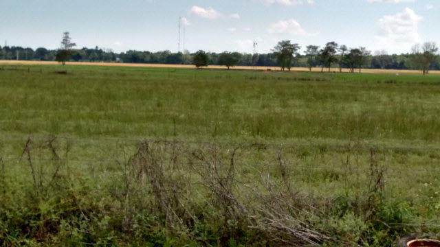 0 Thompson Road Robertsdale, AL 36567 - Photo 8 of 10