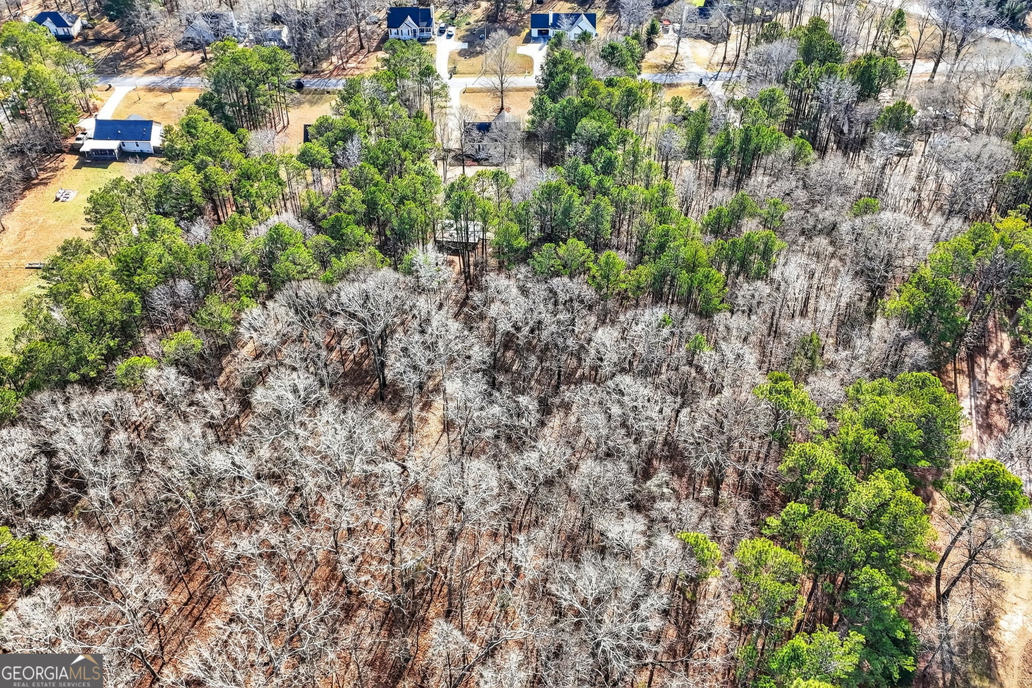 118 Ridgeway Road Milner, GA 30257 - Photo 48 of 50