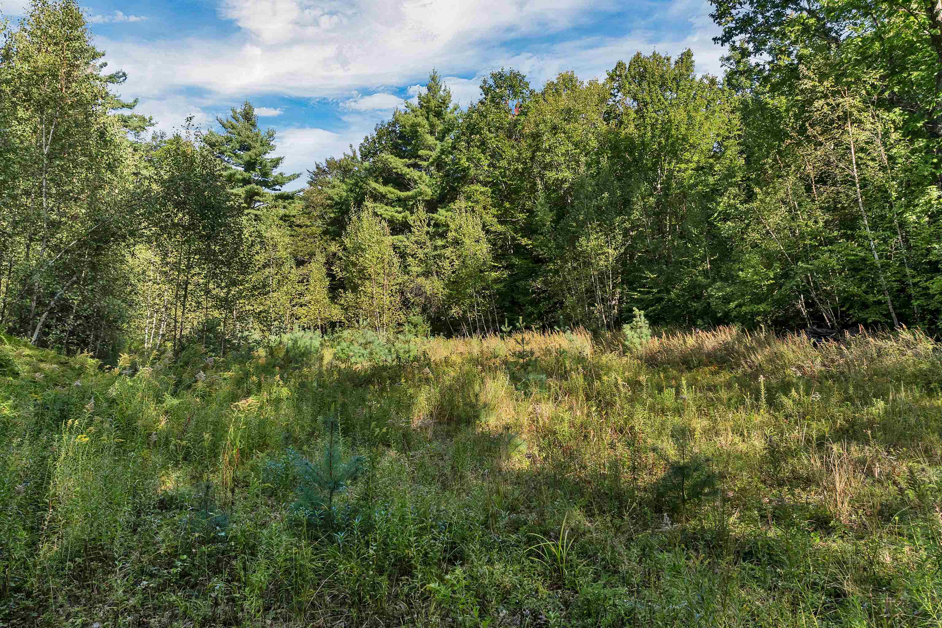 Chamberlain Road, Unit 11 Alton, NH 03809 - Photo 9 of 26 Gallery Image 9