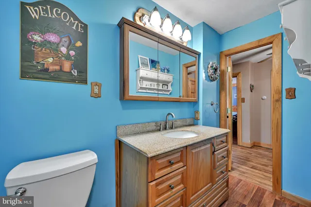 a bathroom with a toilet a sink and wooden floor