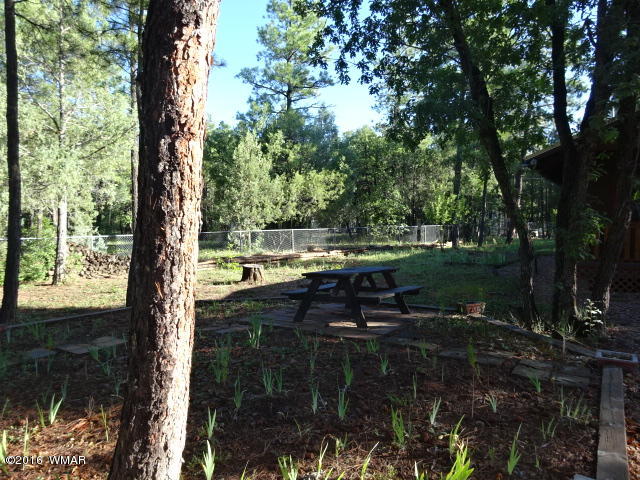 2904 West Rim Road Lakeside, AZ 85929 - Photo 14 of 32