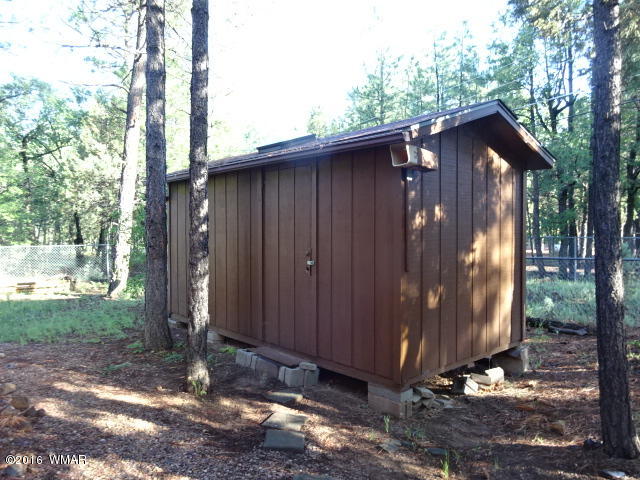 2904 West Rim Road Lakeside, AZ 85929 - Photo 18 of 32
