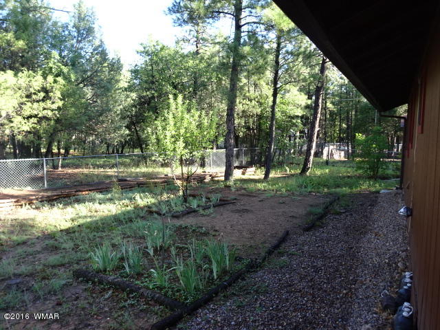 2904 West Rim Road Lakeside, AZ 85929 - Photo 20 of 32