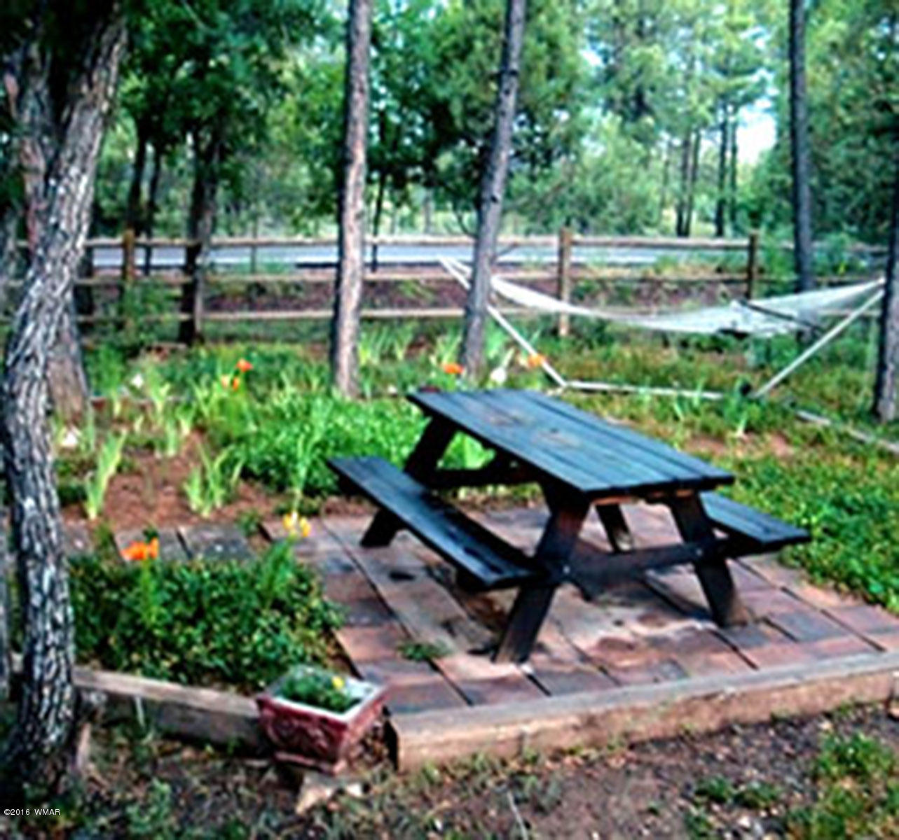 2904 West Rim Road Lakeside, AZ 85929 - Photo 30 of 32