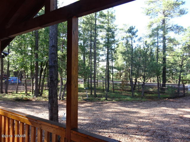 2904 West Rim Road Lakeside, AZ 85929 - Photo 3 of 32
